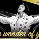 THE WONDER OF YOU - STORY OF ELVIS