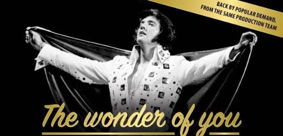 THE WONDER OF YOU - STORY OF ELVIS